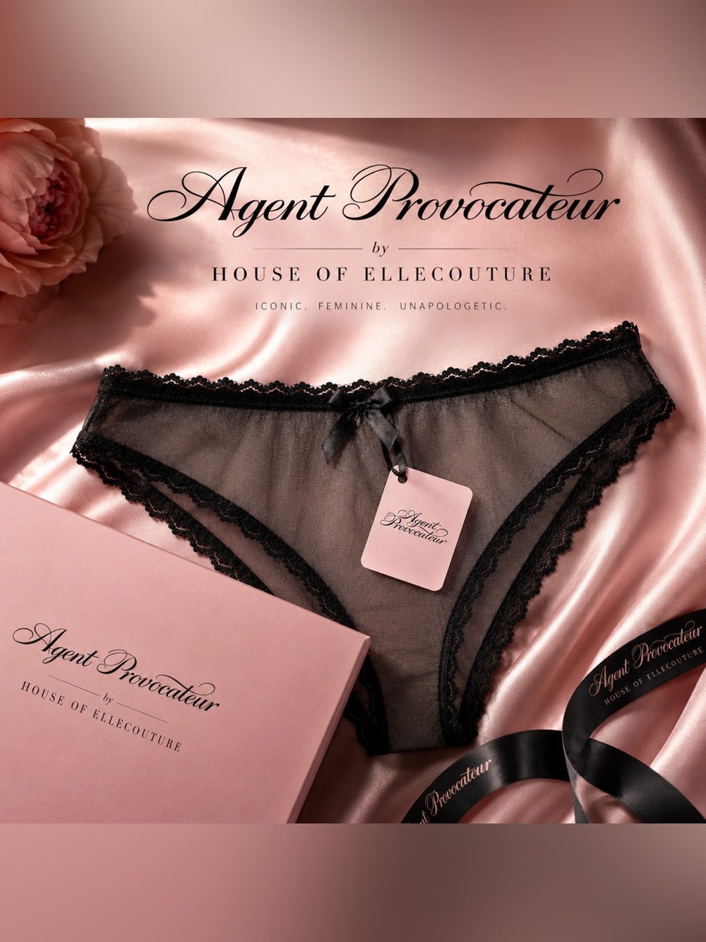 Agent Provocateur Venetia Sheer Mesh Lace Brief Panty Black NWT AP2 LuxeLingerie